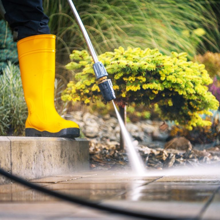 ©Tomasz Zajda/stock.adobe.com